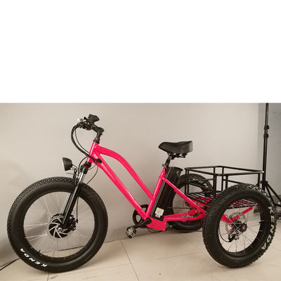 500W Cargo Adult 3 Wheel Electric Bicycle with Fat Aluminium Rim and EN71 Certificate