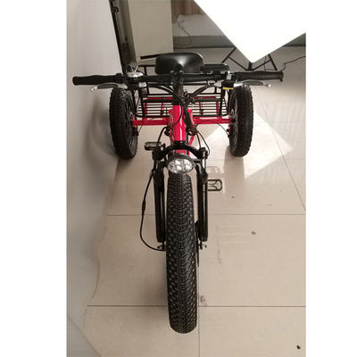 500W Cargo Adult 3 Wheel Electric Bicycle with Fat Aluminium Rim and EN71 Certificate