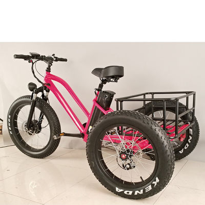 500W Cargo Adult 3 Wheel Electric Bicycle with Fat Aluminium Rim and EN71 Certificate
