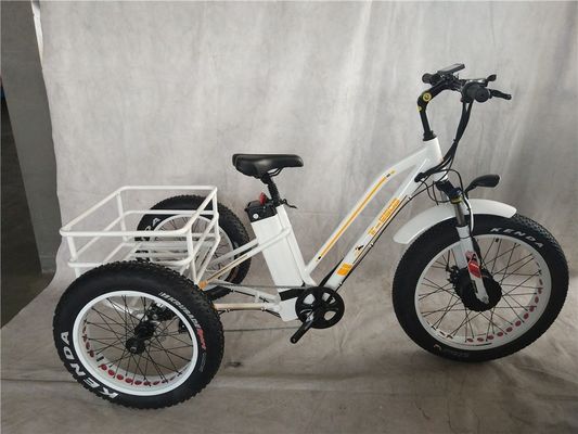 Effortlessly Navigate the City on Our 350W Three Wheel Electric Bike for Older Riders