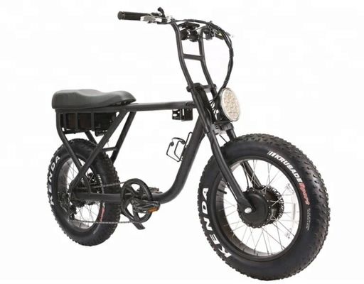 750W Brushless Motor Folding Fat E-Bike with 20inch Tire Big Power and Compact Size