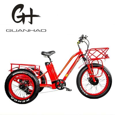750W Front Motor 4.0 Tire Snow EN15194 Cargo Electric Cargo Tricycle with Disc Brake
