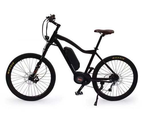 36V 250W 17Ah Middle Electric Motor Unisex City Electric Bicycle for Smart Riders