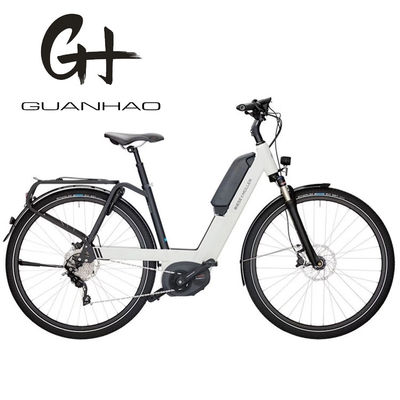 36V 250W 17Ah Middle Electric Motor Unisex City Electric Bicycle for Smart Riders