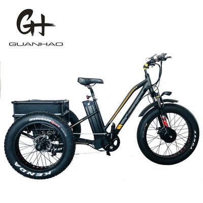 750W Front Motor 4.0 Tire Snow EN15194 Cargo Electric Cargo Tricycle with Disc Brake