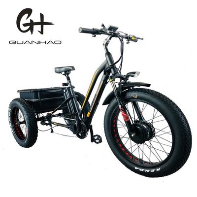750W Front Motor 4.0 Tire Snow EN15194 Cargo Electric Cargo Tricycle with Disc Brake