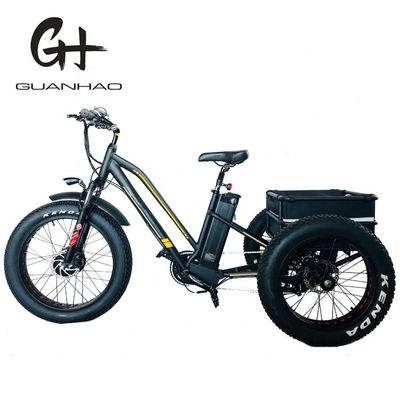 750W Front Motor 4.0 Tire Snow EN15194 Cargo Electric Cargo Tricycle with Disc Brake