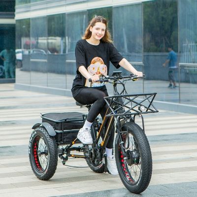 750W Front Motor 4.0 Tire Snow EN15194 Cargo Electric Cargo Tricycle with Disc Brake