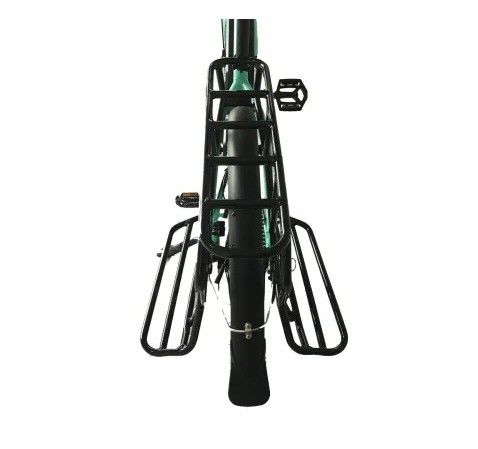 20&quot; Magnesium Alloy Frame Ananda Bafang MID Drive Electric Bike for Family or Cargo Delivery