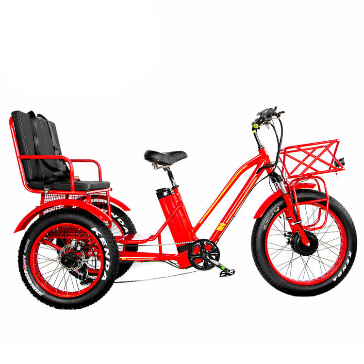 Front Hub Motor 750W 21AH Lithium Electric Tricycle for 2 People 24&quot; Snow Tire 40KM/H