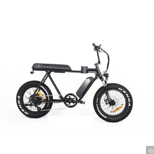 Magnesium Alloy Frame 2020 20 Inch Fat Tire Electric Bike Snow Beach Cruiser EL-DN2011Z