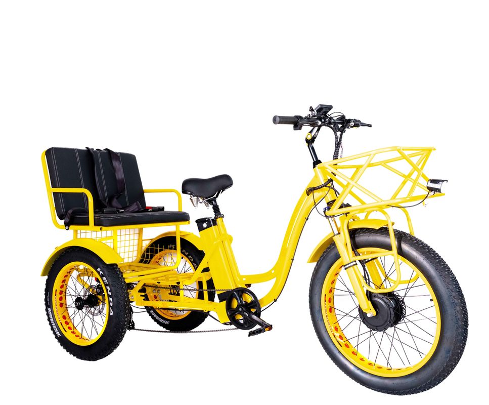 Electric Rickshaw 750W Front BaFang Motor 21AH Lithium Battery 60KM USA Adult 24&quot; Fat Snow Big Tire Passenger Seat
