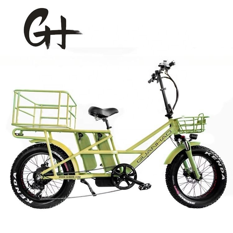 48V Disc Brake Dual Batteries Fat Snow Big Tire Electric Cargo Bicycles for Family 2