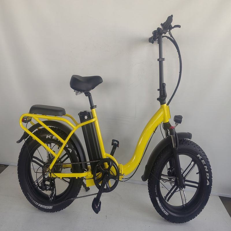 Kenda 20*4.0 Tire and Wellgo Pedal 48V 750W Folding Electric Bike for Beach Cruiser