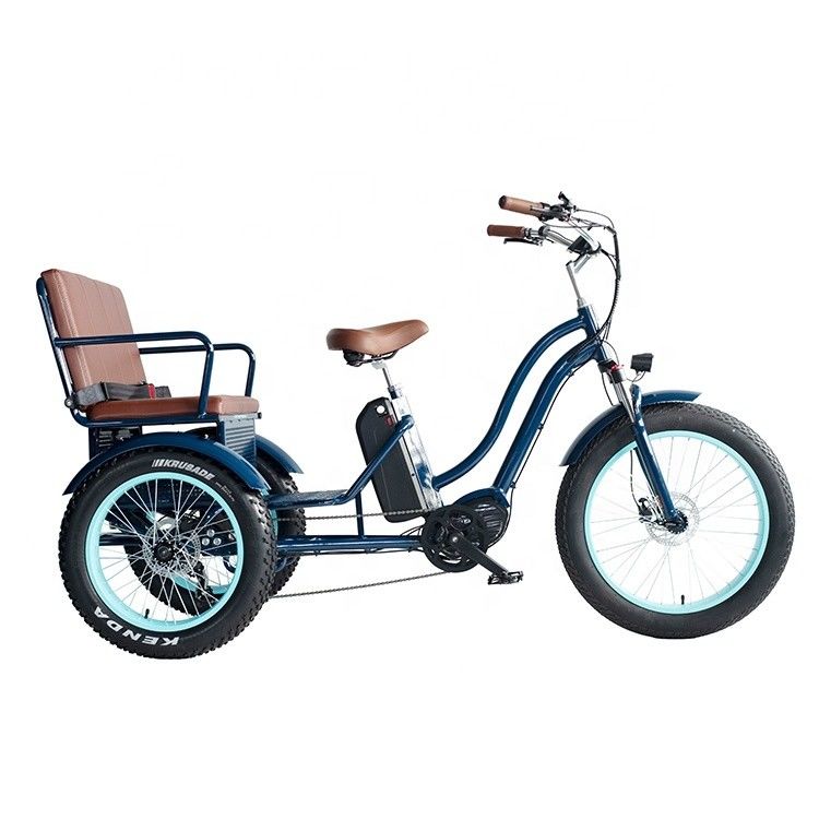 Front Hub Motor Electric Rickshaw with 48V 750W 17AH Lithium Battery and Big Fat Tire