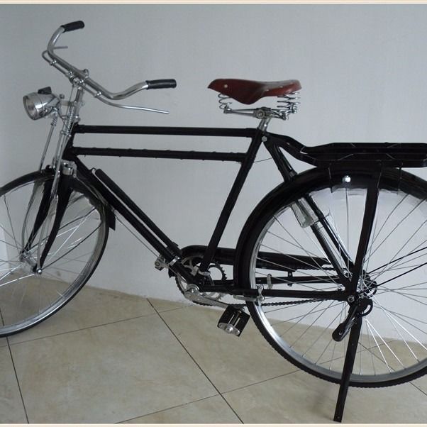 Classic Style Dutch Bike for Men Featuring Coaster Brake and Ordinary Pedal Type