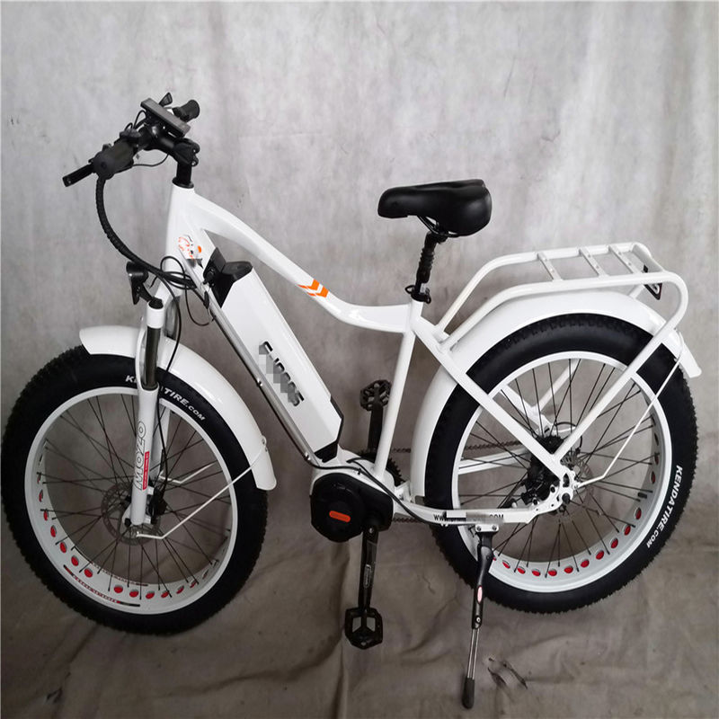 1000W Bafang Mid Drive Motor Alloy Rear Carrier Central Electric Bike with Standards