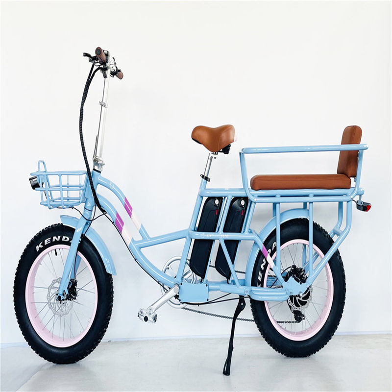 Shimano Gear Alloy Stem Dual Batteries Folding Step Through Ebike for Carrying Kids