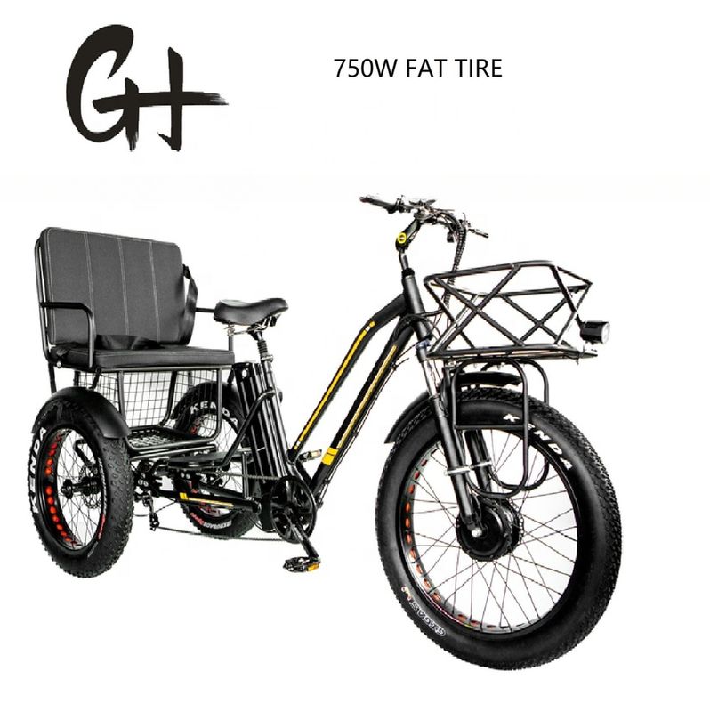 Bafang 750W Motor Electric Tricycle with Fat Tire E Three Wheels and Passenger Seat