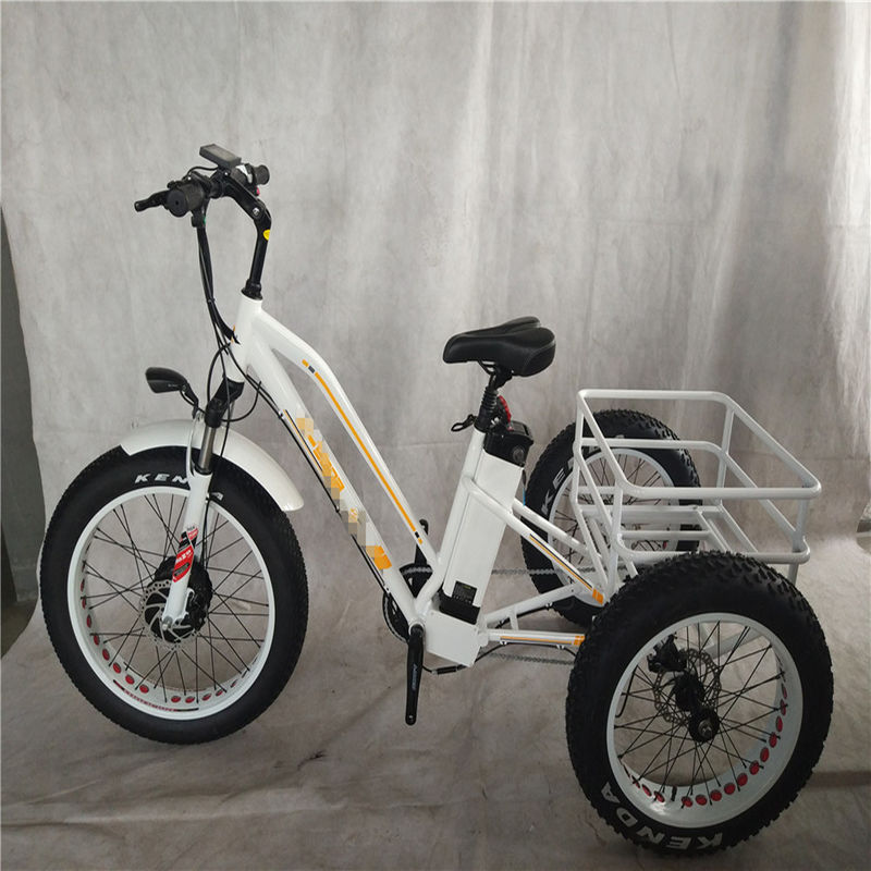 750W 48V 4.0&quot; Fat Tire 3 Wheels E Trike Electric Cargo Bike Alloy Rim 6 Speed USA Hot