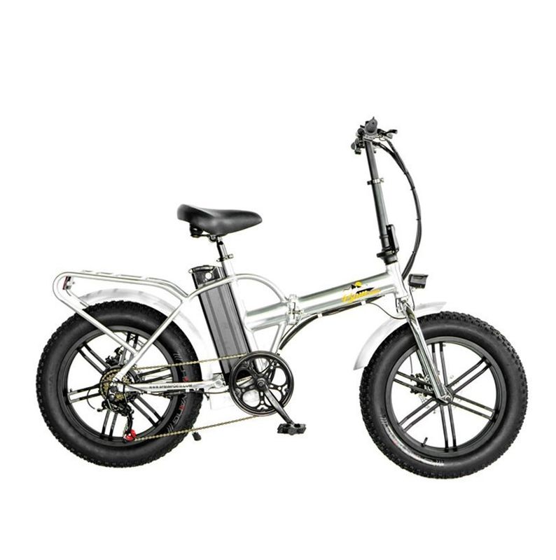 750W 1000W 48V Fat Tire 4.0&quot; Folding Silver Frame 5 Spokes Electric Folding Bike 20 Inch