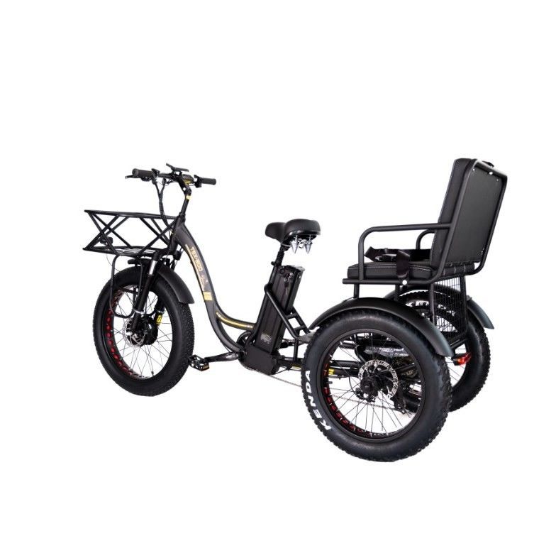 Electric Bicycle Rickshaw Taxi with 48V 1000W Motor Bafang Crank and Kenda 24*4.0 Tire