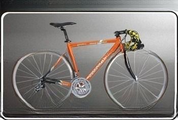 20&quot;-24&quot; Chopper Gas Bicycle Motorcycle with F 24&quot;x2.10 R20&quot;x4.25 Tyre Exported to CE