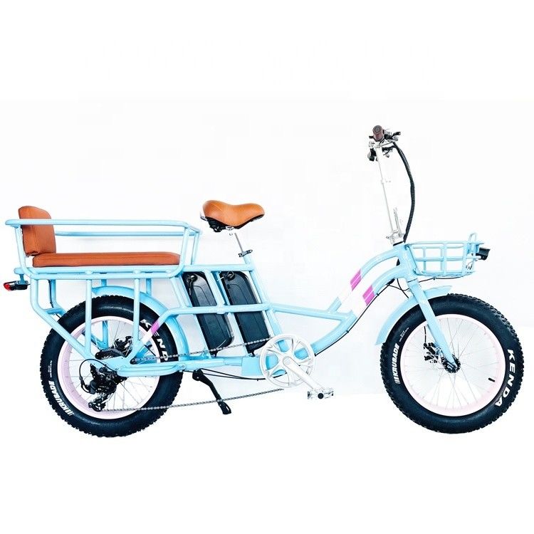 20&quot; 48V 1000W Dual Batteries 34AH Lithium Battery 50KM/H Rear Hub Motor Snow Electric Bike