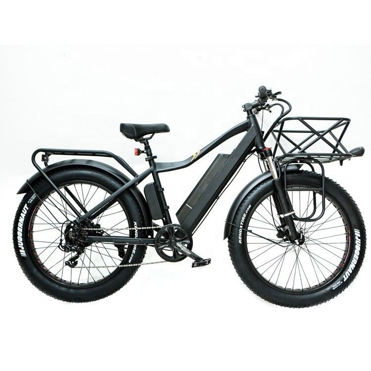 52V 1000W Bafang Motor 17AH Lithium 55KM/H Rear Hub Snow Fat Tire Mountain Electric Bike