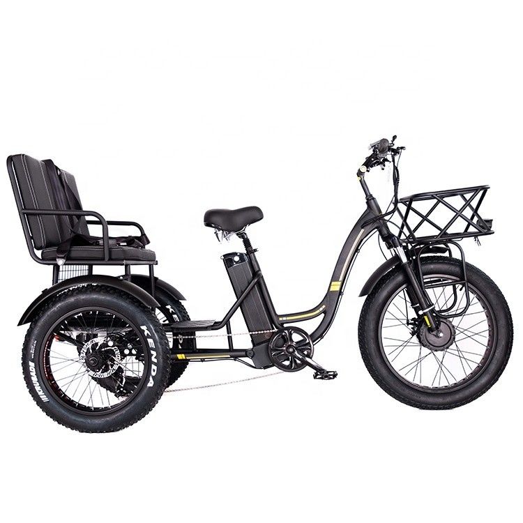 Lightweight Aluminum Frame Electric Tricycle 48V 750W 21AH 50KM/H for Adult Passenger