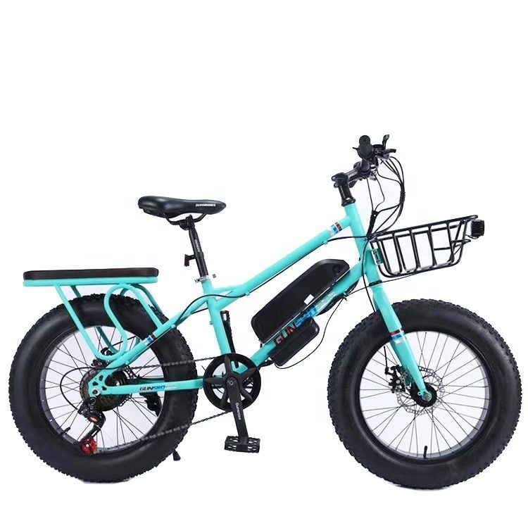 20&quot; 500W 48V13AH OEM/ODM EN15194 Disc Brake Electric Bike for Small Kids' Outdoor Fun