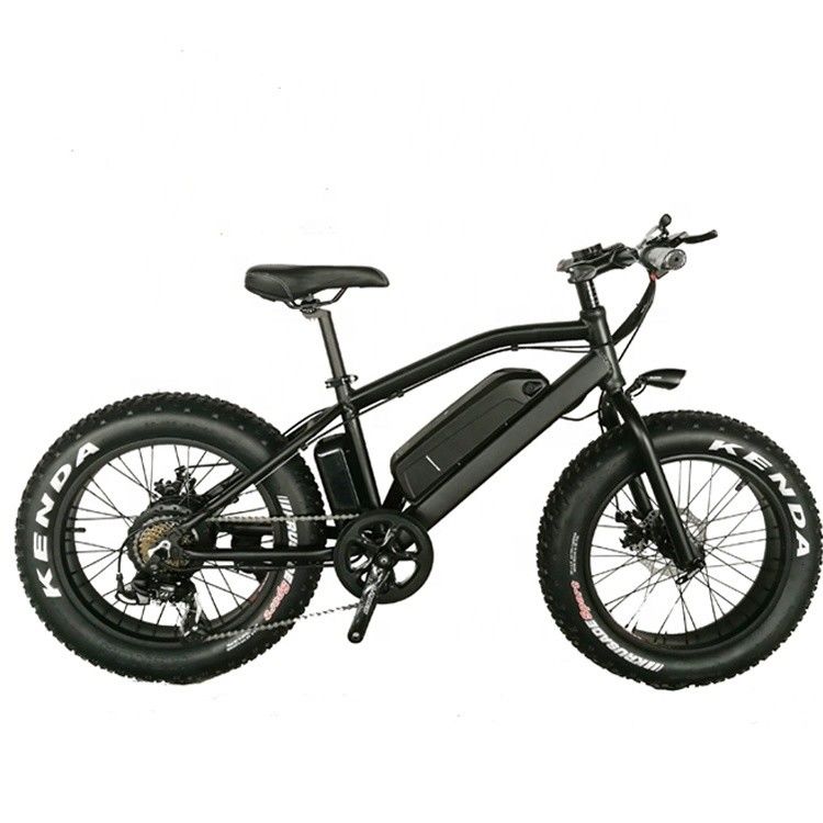 20&quot; Snow Tire Electric Mountain Bicycle with 48V 750W Motor and 14AH Lithium Battery