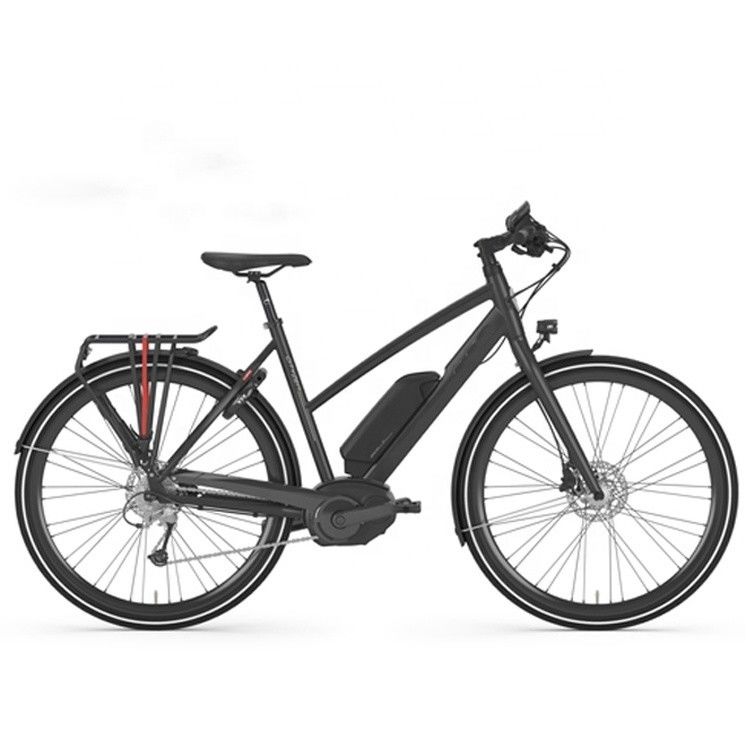 Bafang Central Motor 25KM/H 8.8AH Lithium Battery OEM CE Electric City Cargo Bicycle