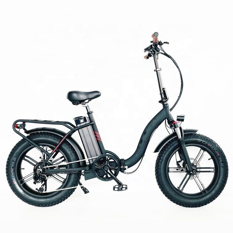 CE Approved 48V 10.4AH Electric Folding Bike with 750W Motor and Top Speed of 50KM/H