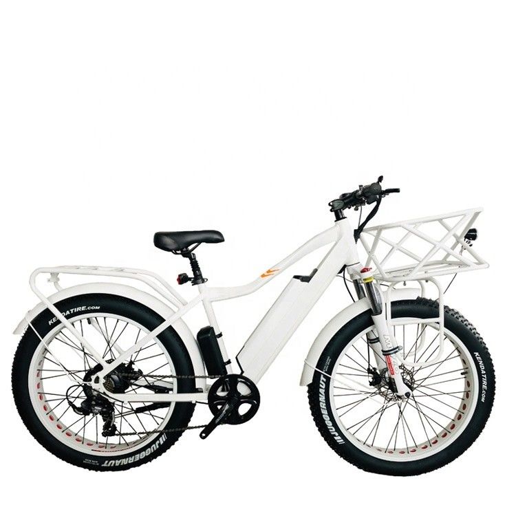 CE UL2849 4.0 Snow Big Fat Tire Adult Mens Electric Mountain Hybrid Bike 48V 1000W 50KM/H