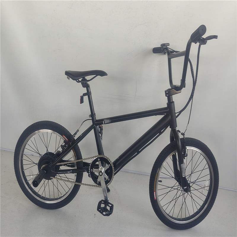 KT Controller 2024 250W 24V 10.4 A PAS Single Speed Electric Bike with Hidden Battery