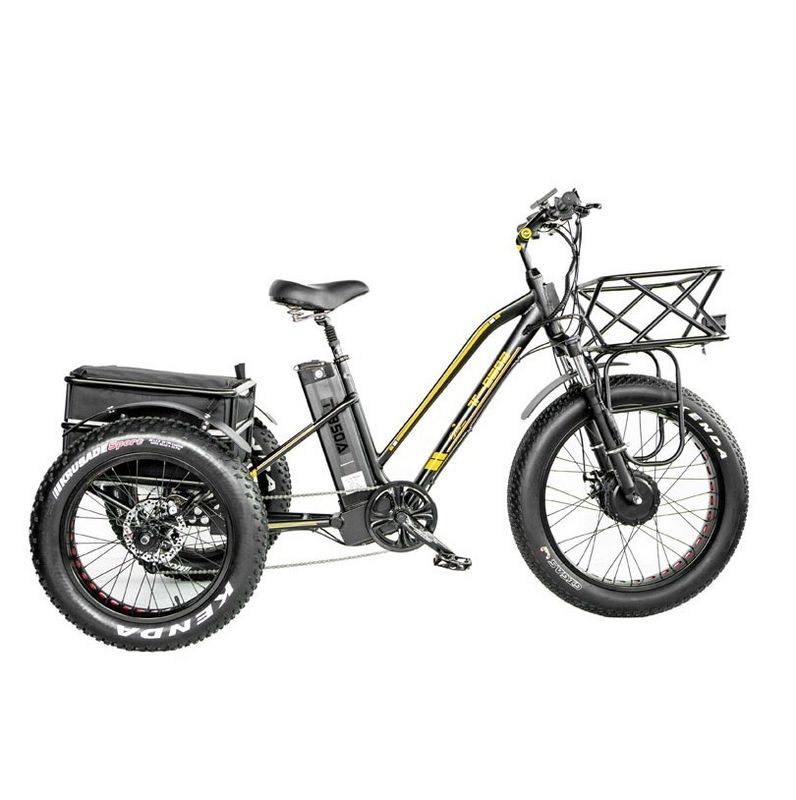 Disc Brake 750W Electric Cargo Tricycle Fat Tire 3 Wheel E Trike for Long Range Travel