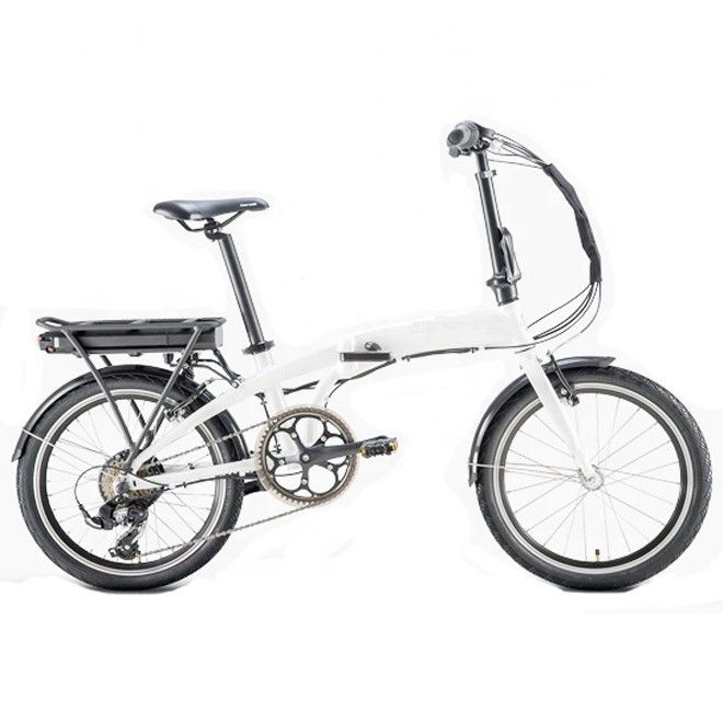 USA Customized 20&quot; Folding Electric Bike with 36V 350W Motor and 10.4AH Lithium Battery