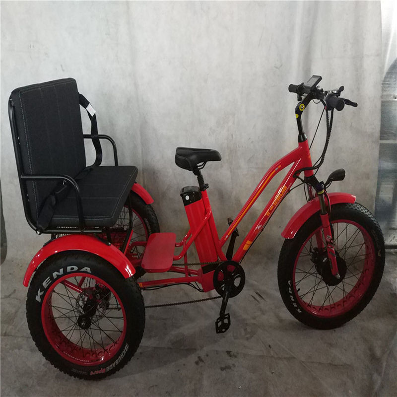 750W Central Motor Fat Tire Electric Rickshaw with Aluminum Carrier and Passenger Seat