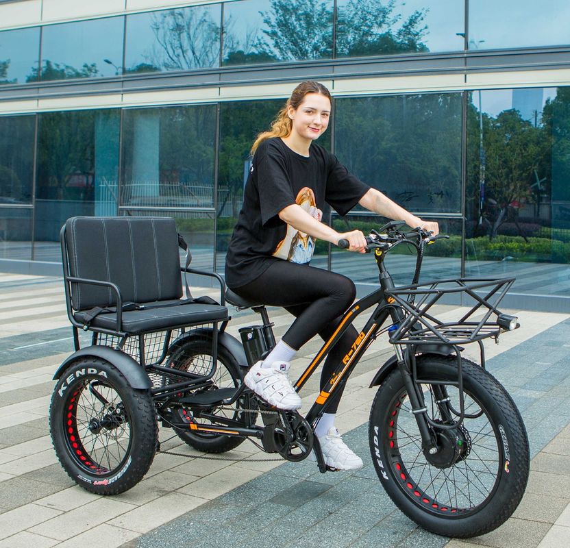 Down Tube 48V 750W 17AH Lithium Battery 45KM/H bafang Front Motor Electric Passenger Tricycle
