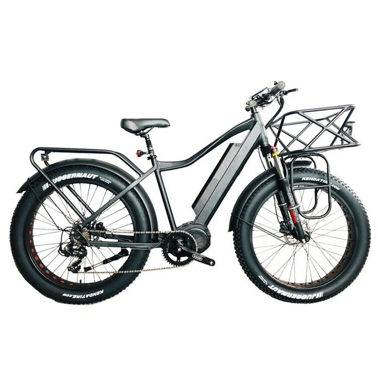 USA Market EN15194 CPSC 48V 1000W 17AH Electric Mountain Bike with Bafang Middle Motor