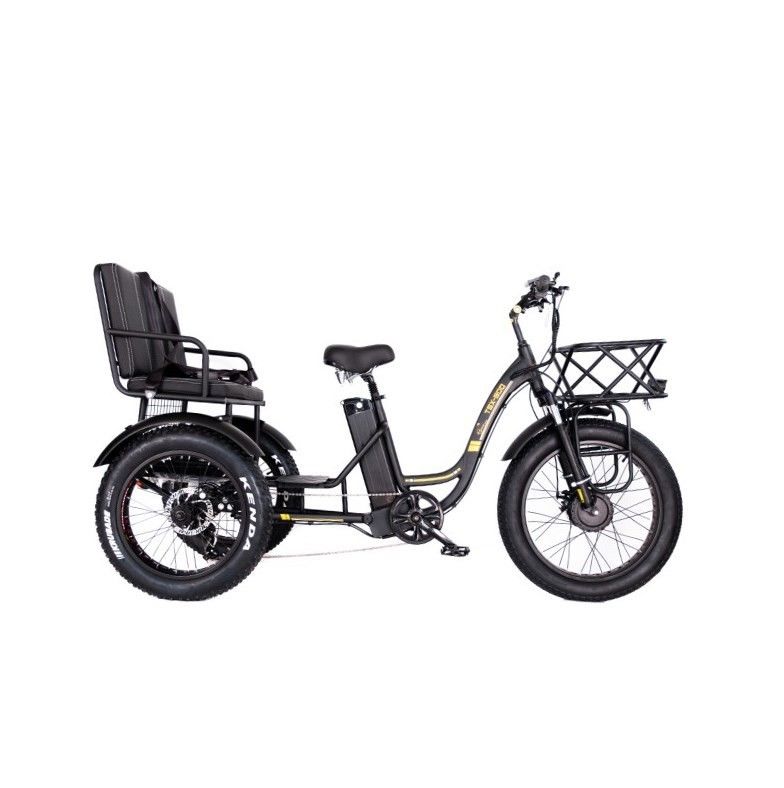 16.7 Ah Battery Capacity 750W HEAVY DUTY RICKSHAW ELECTRIC TRICYCLE for Passenger