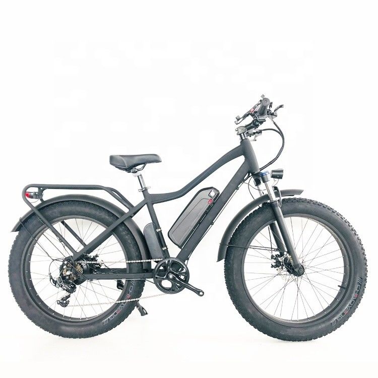 48V 1000W 17AH 50KM/H USA OEM Customized Fat Tire Electric Mountain Bicycle for Cargo