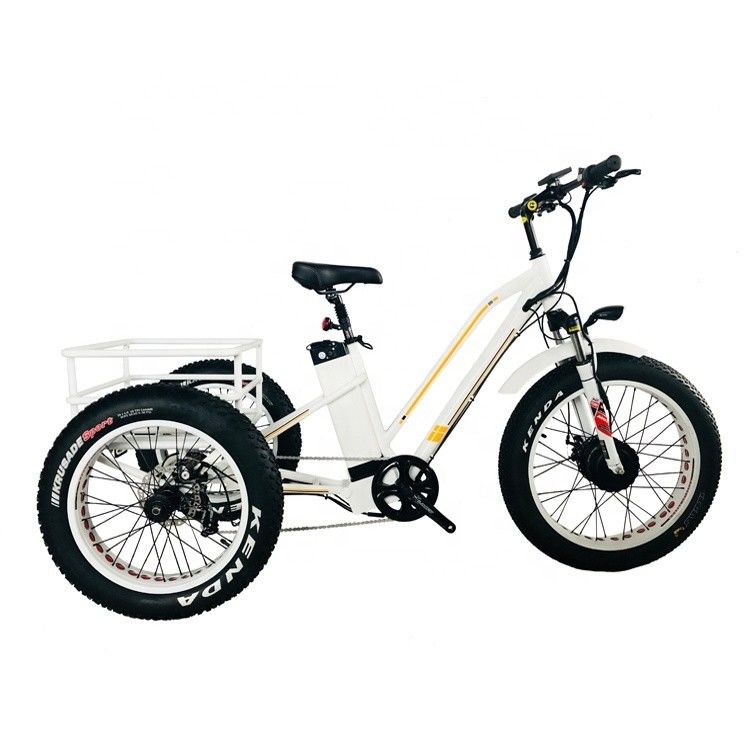 48V 14AH Rear Basket 4.0 Snow Tire Electric Cargo Tricycle with USA CE Certification