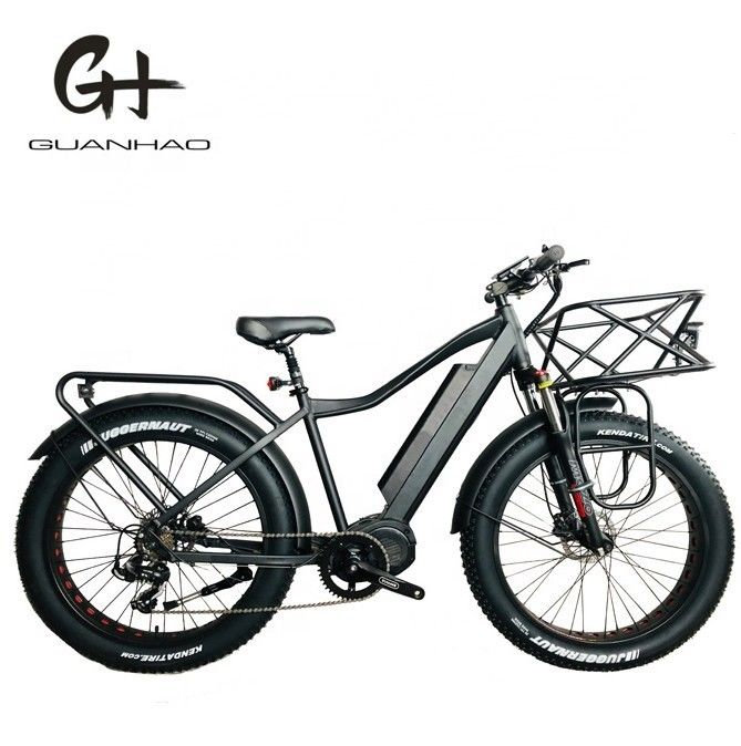 26x4.0 Inch Mountain Electric Fat Tire Bike with 1000W Diver Motor and Front Carrier