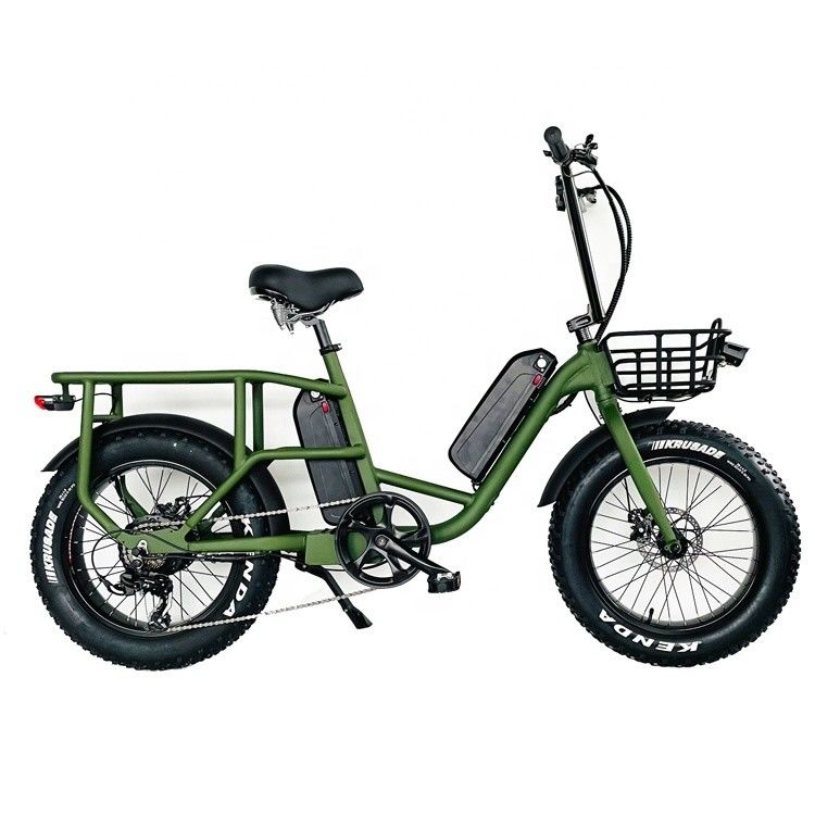 20&quot; 48V 34AH Lithium Battery 1000W 50KM/H Aluminum Frame 7 Speeds Cargo Electric Dual Battery hybrid Fat Snow Tire 4.0 Bicycle
