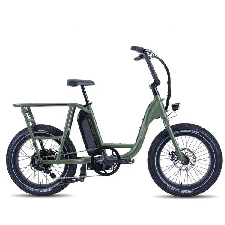 48V 1000W 32MPH Electric Hybrid Cargo Bike with 20&quot;4.0 Fat Tire and Torque of 80-90 Nm