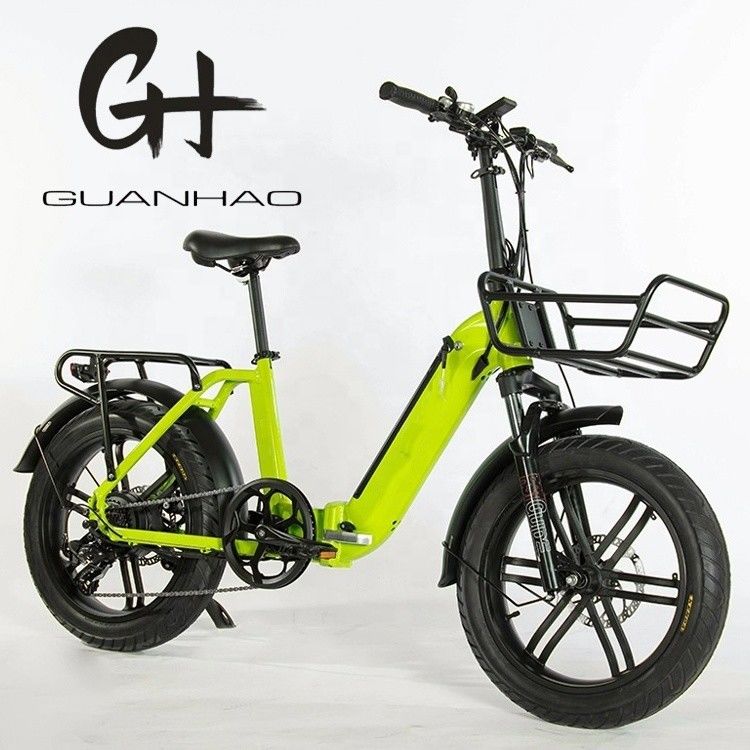 750W Magwheel Motor Thru Aluminum Folding Frame Suspension Fork Electric Folding Bike