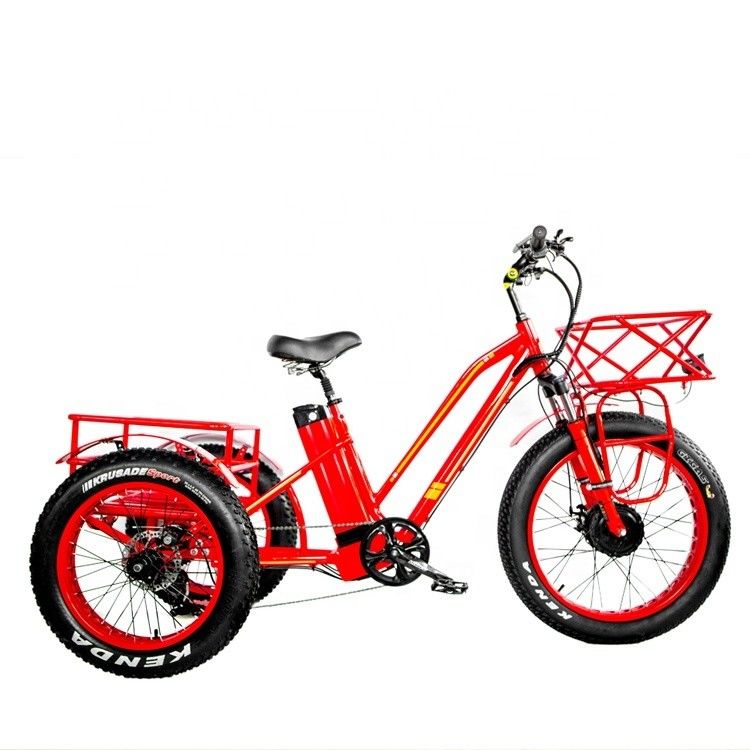 48V 750W Front Motor 24&quot; Adult Electric Tricycle with 17AH Lithium Battery and Fat Snow Tires