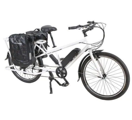 Aluminum Rim Longtail Cargo Electric Bikerd Bike Standard Type 48V1000W with En15194